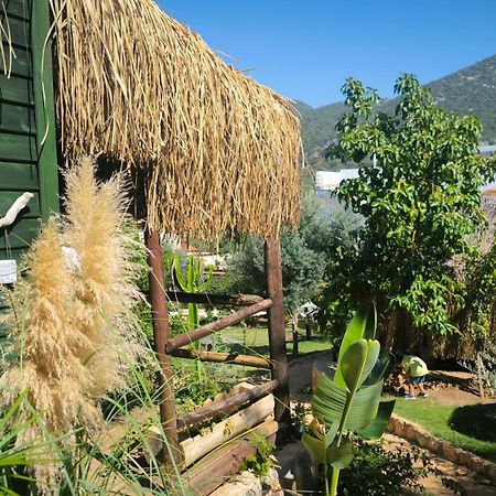 Kas Joy Glamping Hotel Eksteriør billede