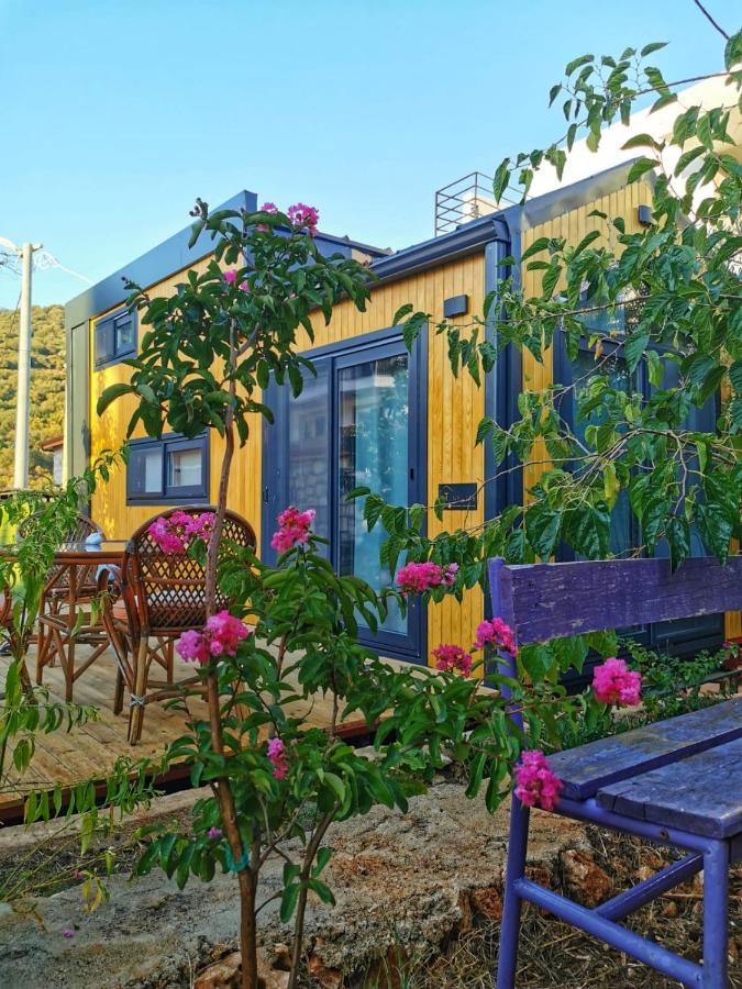 Kas Joy Glamping Hotel Eksteriør billede